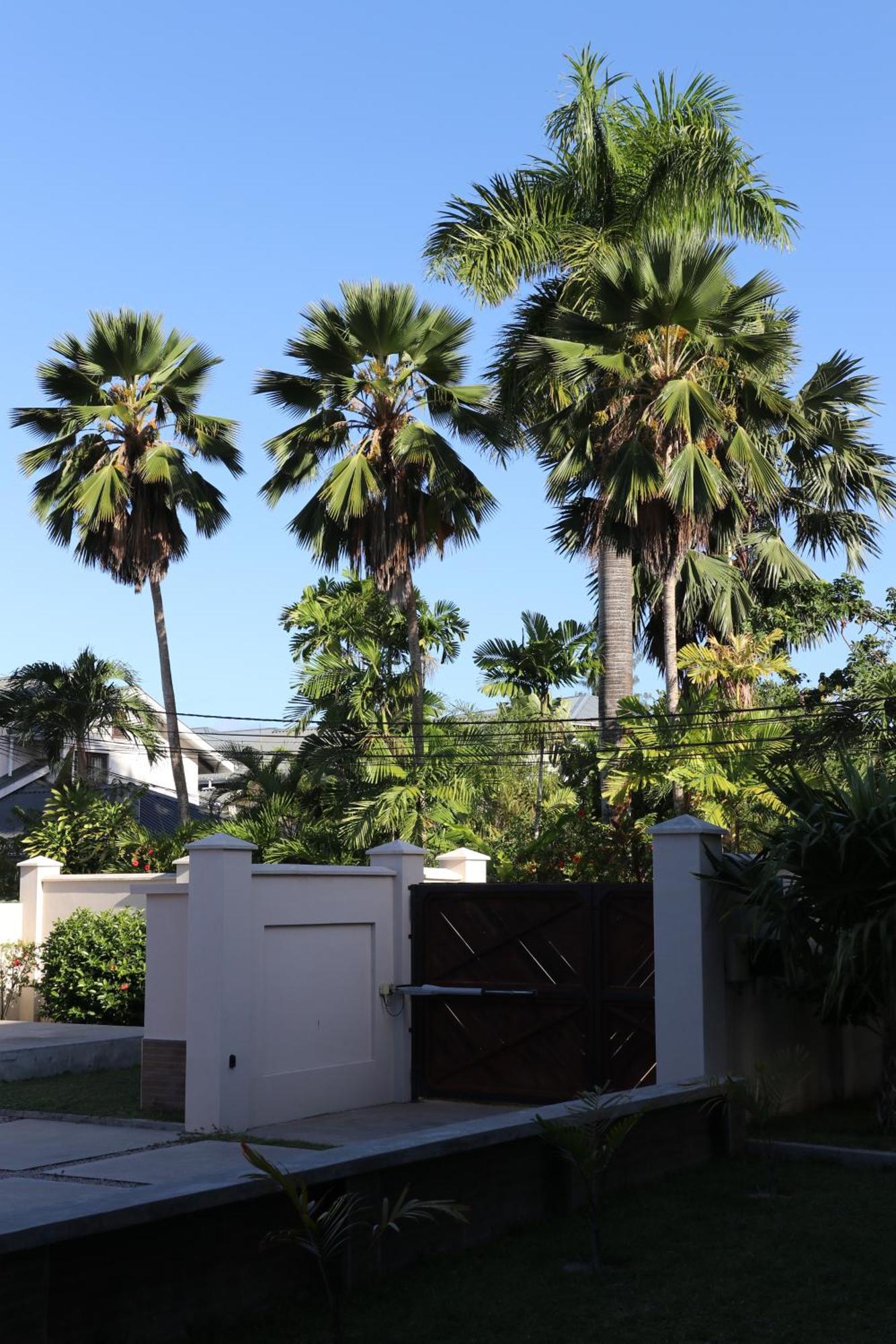 Hotel La Roussette Anse aux Pins Ngoại thất bức ảnh